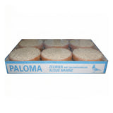 Paloma Seaweed Coral Grit-Pot: Natürliche Mineralkraft aus dem Meer