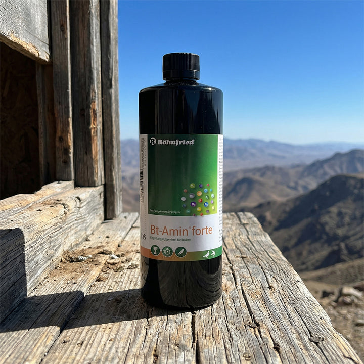 Bt-Amin forte: Hochdosierte Unterstützung für Blutbildung und Nerven