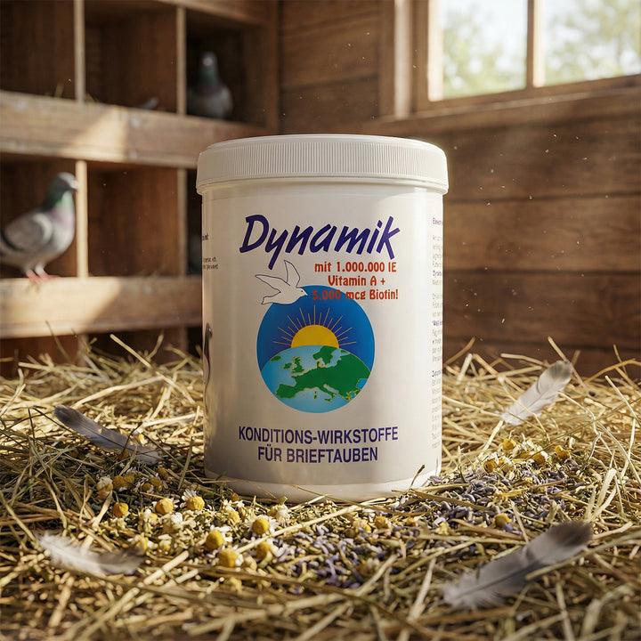Dynamik: Kraftvolle Vitalität für Ihre Brieftauben