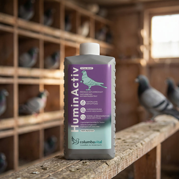 HuminActiv®: Natürliche Regeneration für Ihre Tauben